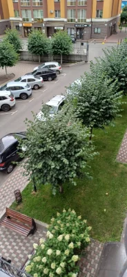 1-room apartment renovated, with gas, balcony in Rich Town