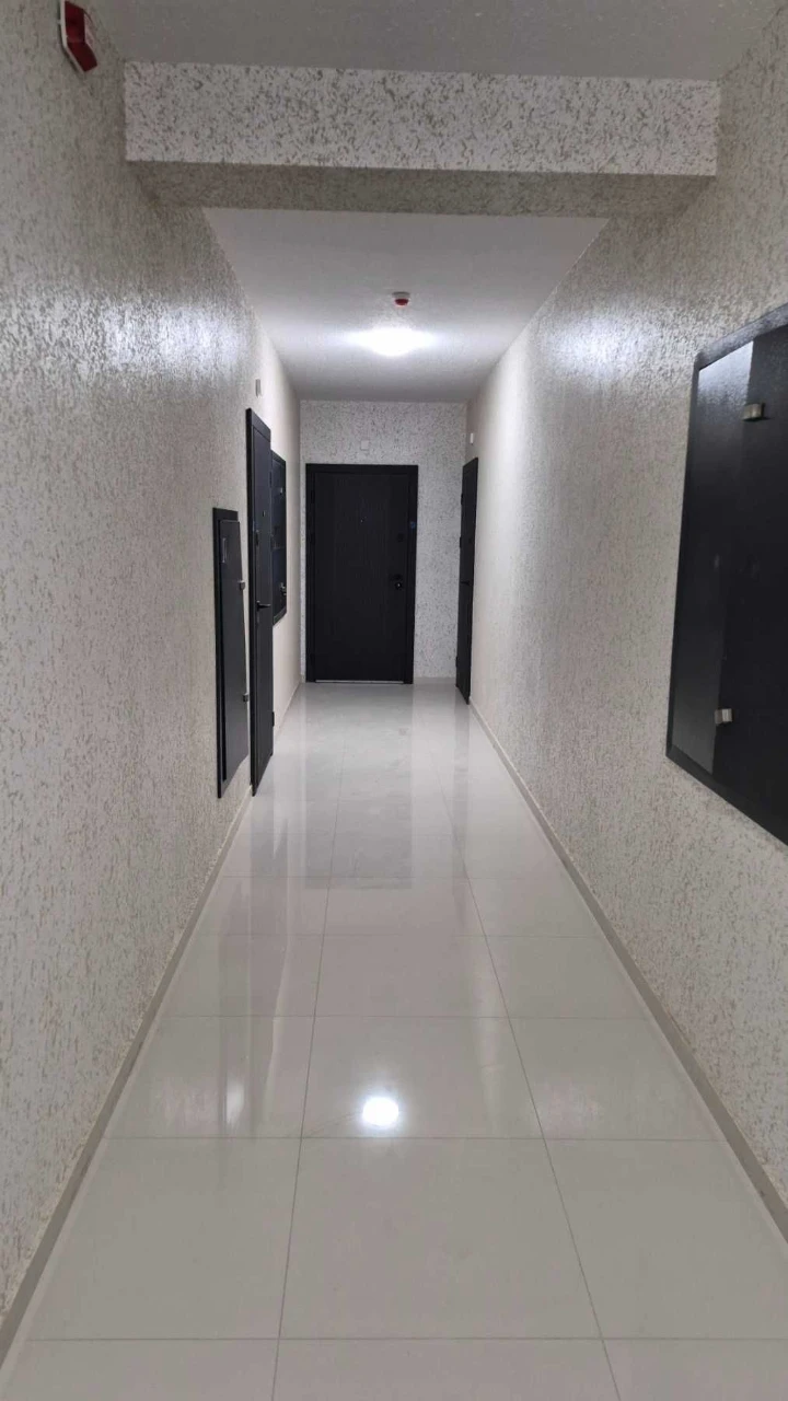 Spacious 1-bedroom apartment in Central PREMIUM. NO COMMISSION!