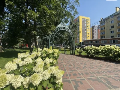 Apartment for Sale: Romaniwka