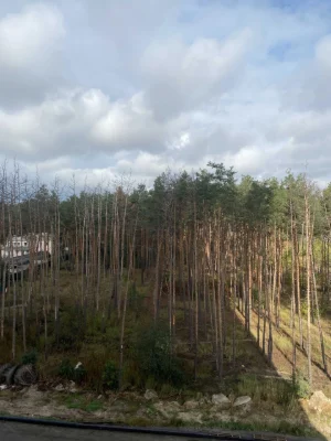 Продажа 1-комнатной квартиры 40 м² с большой кухней рядом с лесом