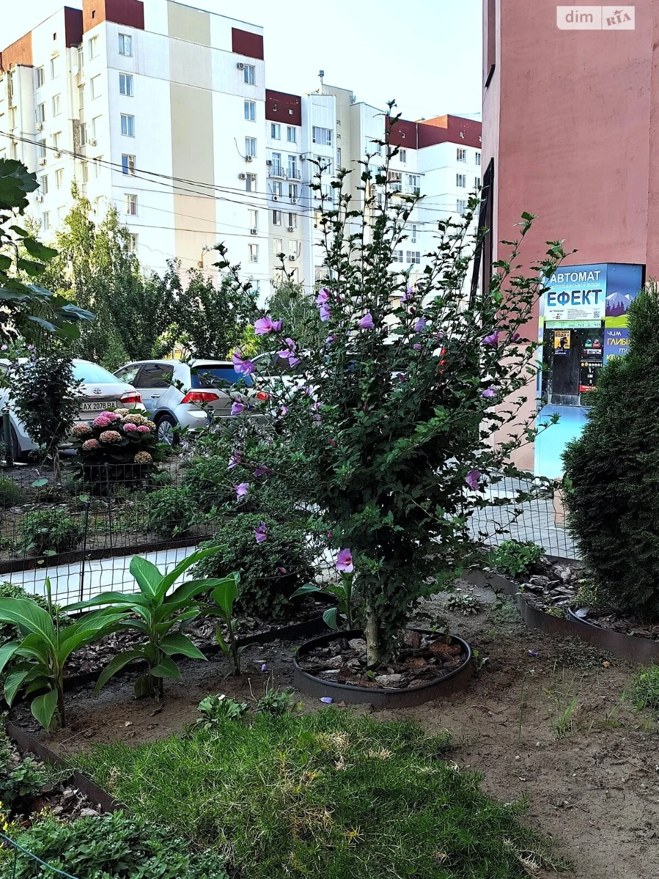 Sale Apartment Saltivskyi