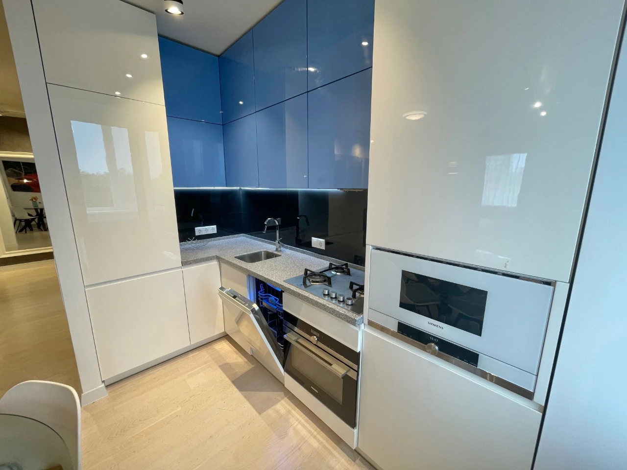 Genuine Euro-trike! Central Park! Large kitchen+balcony.
