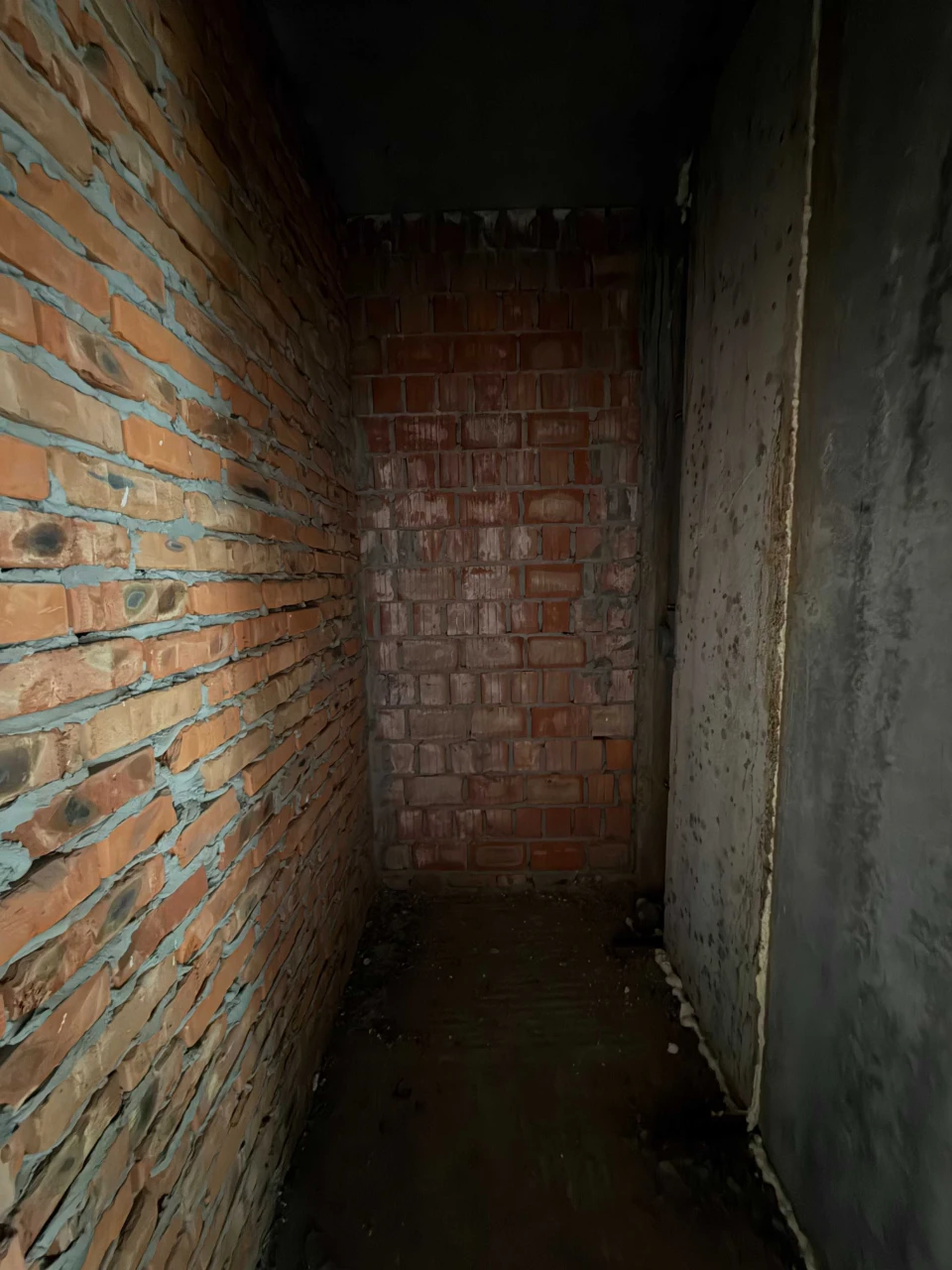 2 room apartment, dual exposure! No commission!