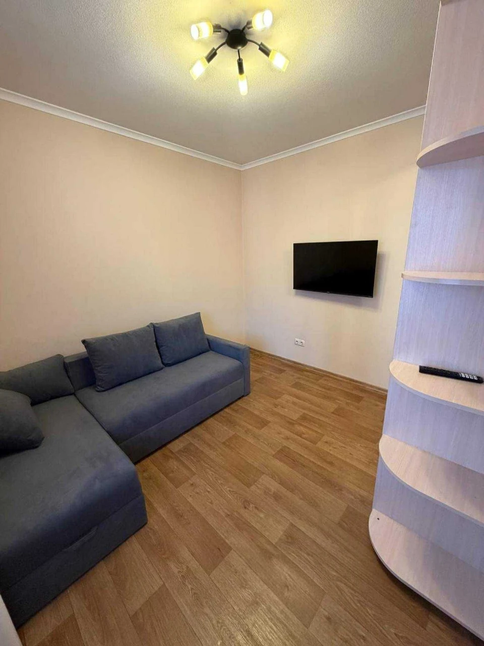 Cozy 1-bedroom apartment with renovation in Irpin near Central Park