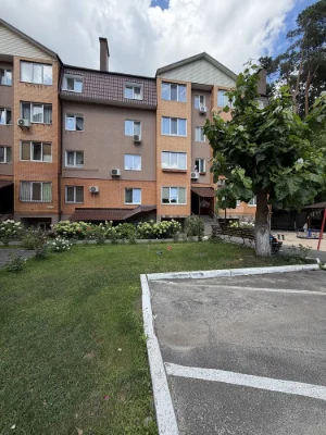 2-bedroom apartment renovated. View of pine trees. Gas, balcony. P