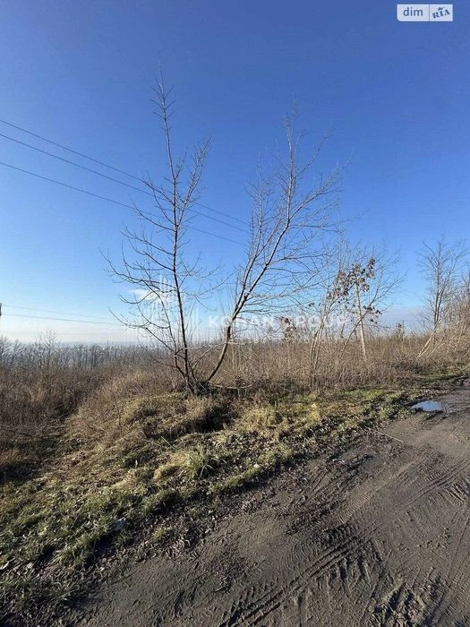 ‼️Продаж фасадної ділянки 1,6га траса Хмельницький #89512‼️