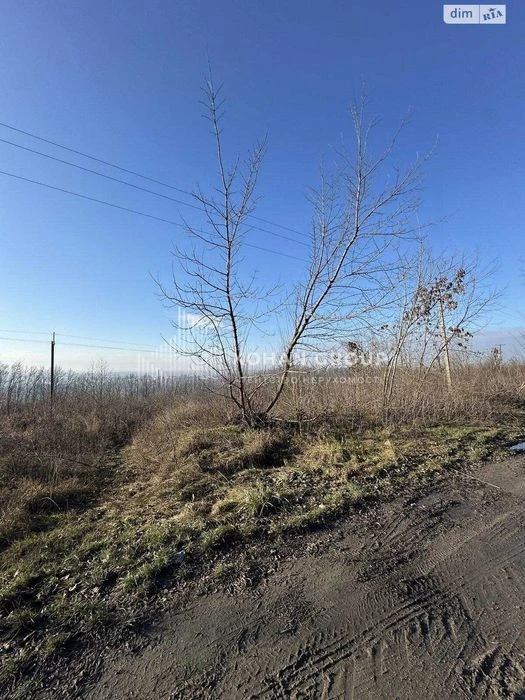 ‼️Продаж фасадної ділянки 1,6га траса Хмельницький #89512‼️