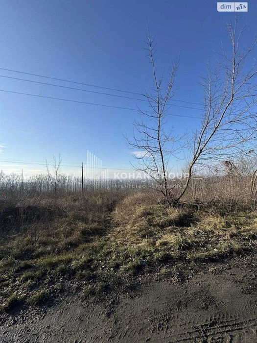 ‼️Продаж фасадної ділянки 1,6га траса Хмельницький #89512‼️