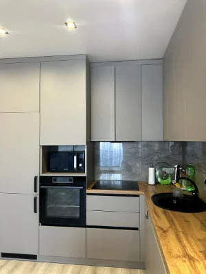 Fully furnished 1BR 49 sq meters in the area of Central Park