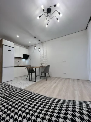 Nice studio with new renovation and furniture, Irpin -