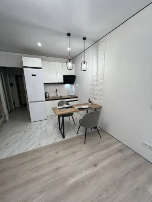 Nice studio with new renovation and furniture, Irpin -