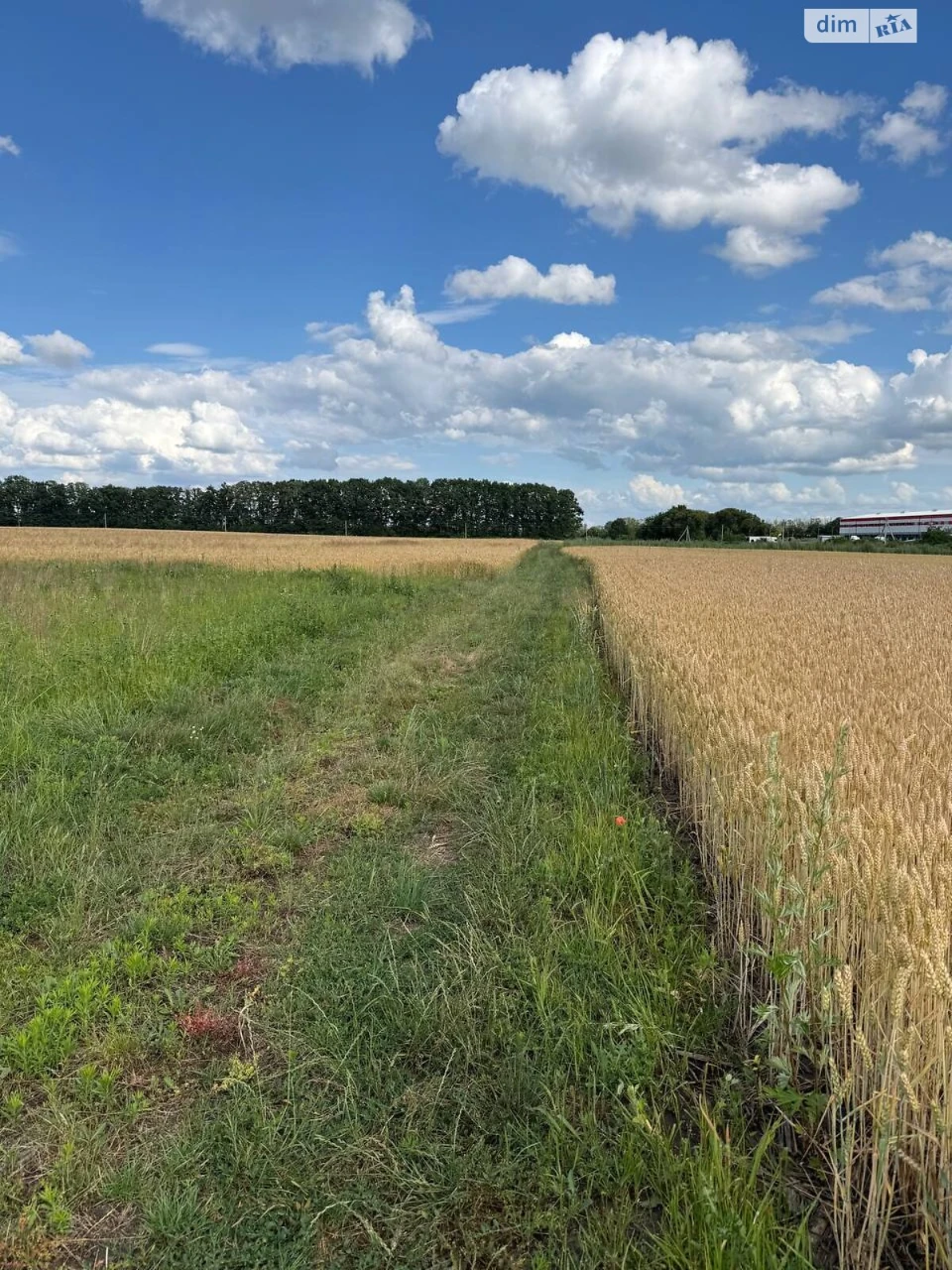 For sale Plot for residential development