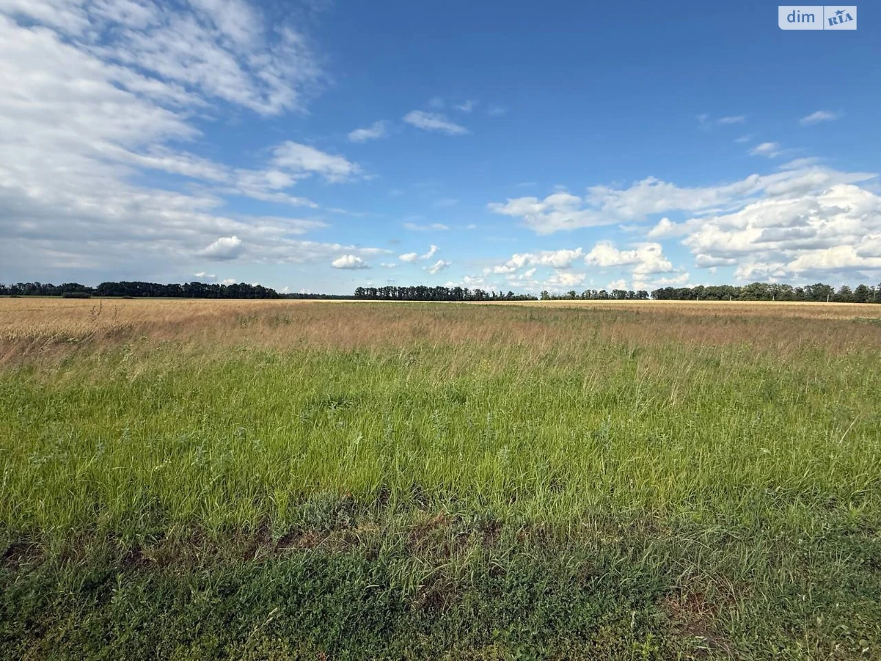 For sale Plot for residential development