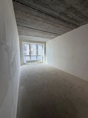 One-bedroom apartment in the city center