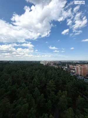 Sale of an Apartment