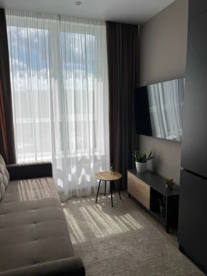 Owner | Synergy 3+ Residence | Gas | Furniture and appliances