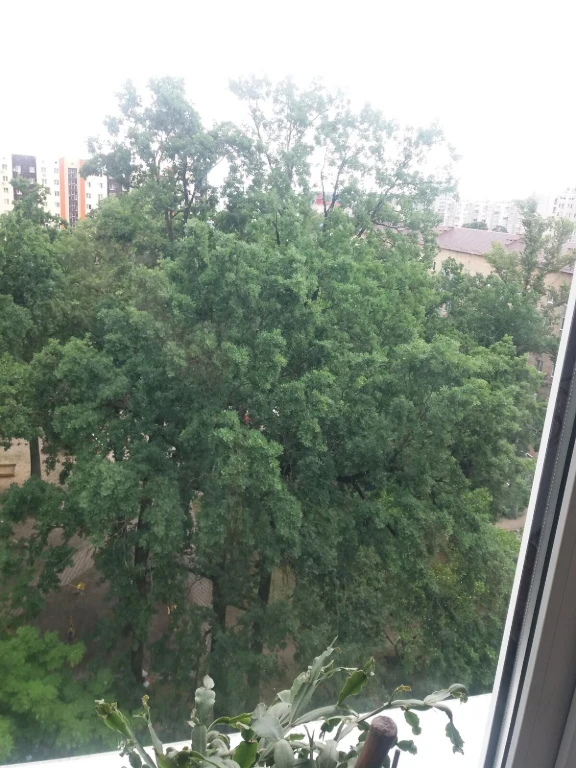 Продажа Квартиры