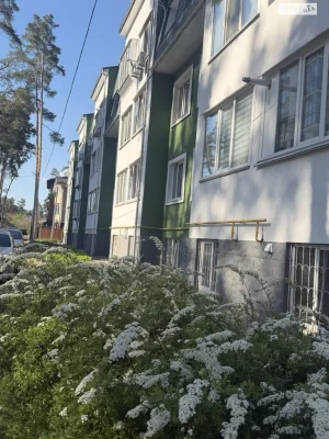 Apartment for Sale in Romaniyka