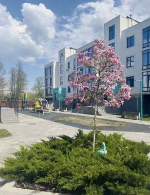 Продаж 1-кімнатної квартири в м. Ірпінь, ЖК "Ібіс", 41 м² з ГАЗОМ!