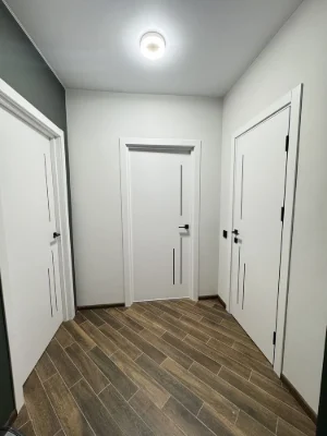 One-bedroom apartment with new renovation! Furniture and appliances! GAS! BALCONY!