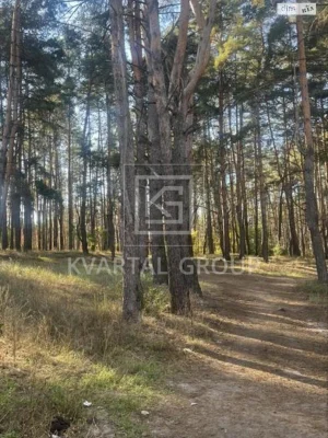 Продаж Квартира