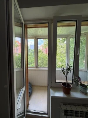 One-room apartment in the center, Shevchenkivskyi district