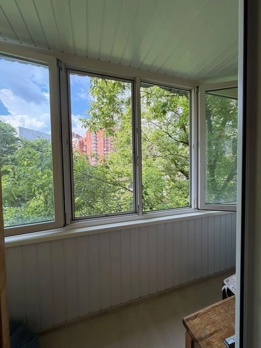 One-room apartment in the center, Shevchenkivskyi district