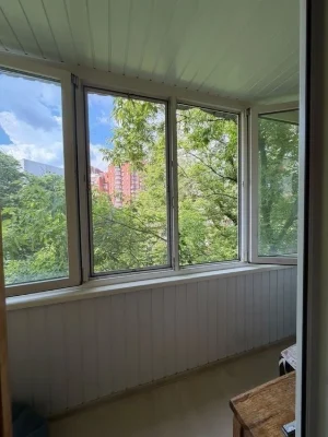One-room apartment in the center, Shevchenkivskyi district