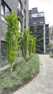 Jutlandia Residence! 2 apartments with renovation! Suitable for government programs