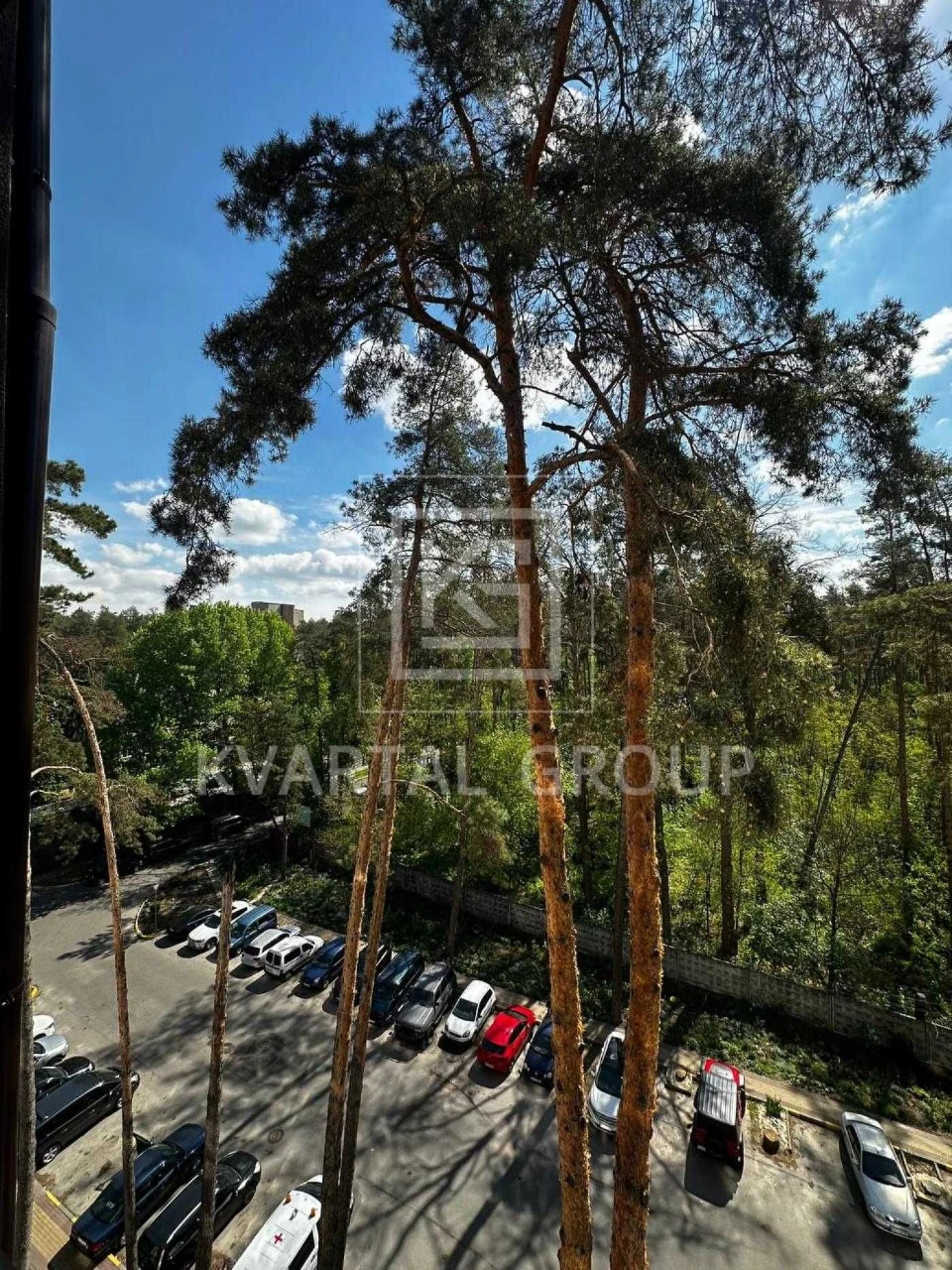 Spacious 1-bedroom apartment 48 sq m with a view of pine trees