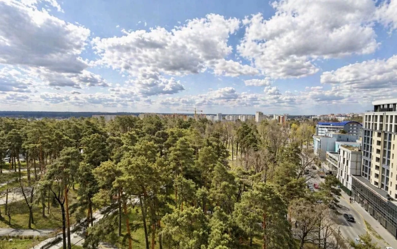 Apartment with a view, 2 rooms near the Pravyika Park, 66 sq m, Irpin, without furnishings