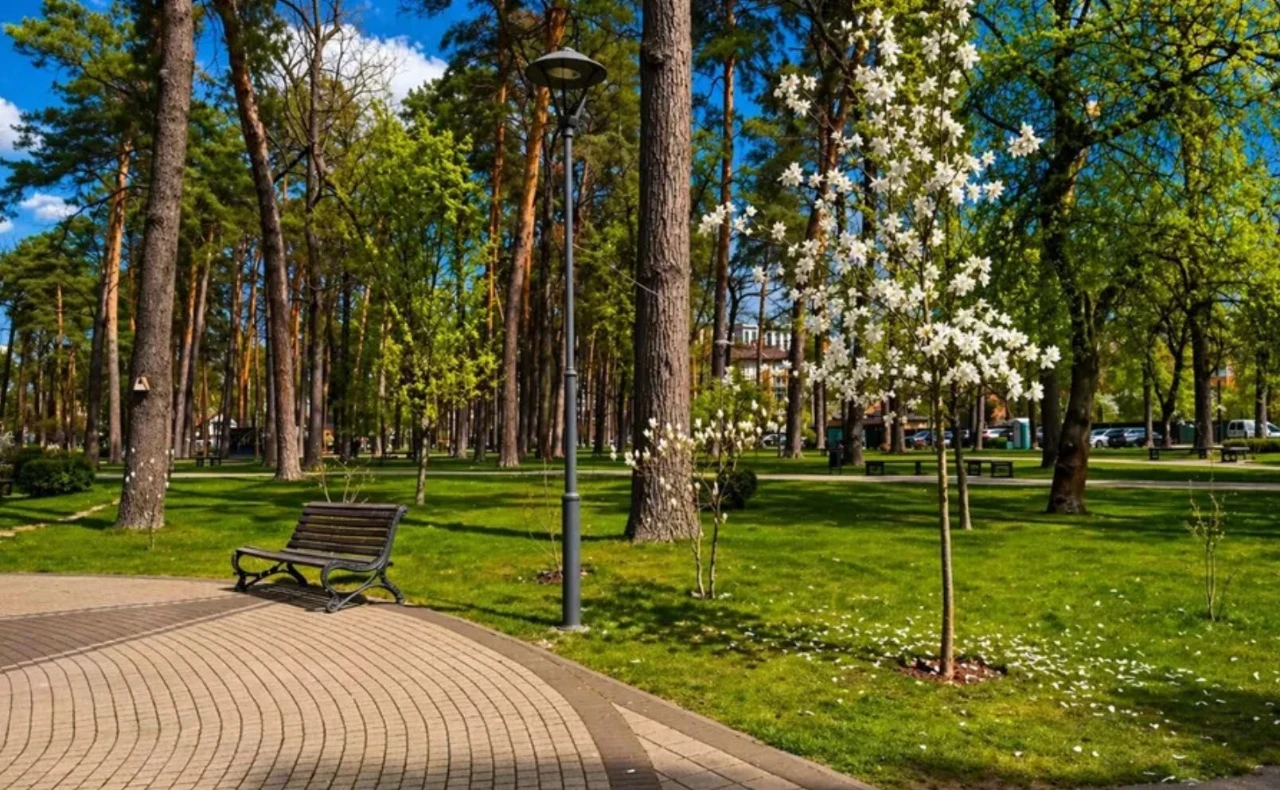 Apartment with a view, 2 rooms near the Pravyika Park, 66 sq m, Irpin, without furnishings