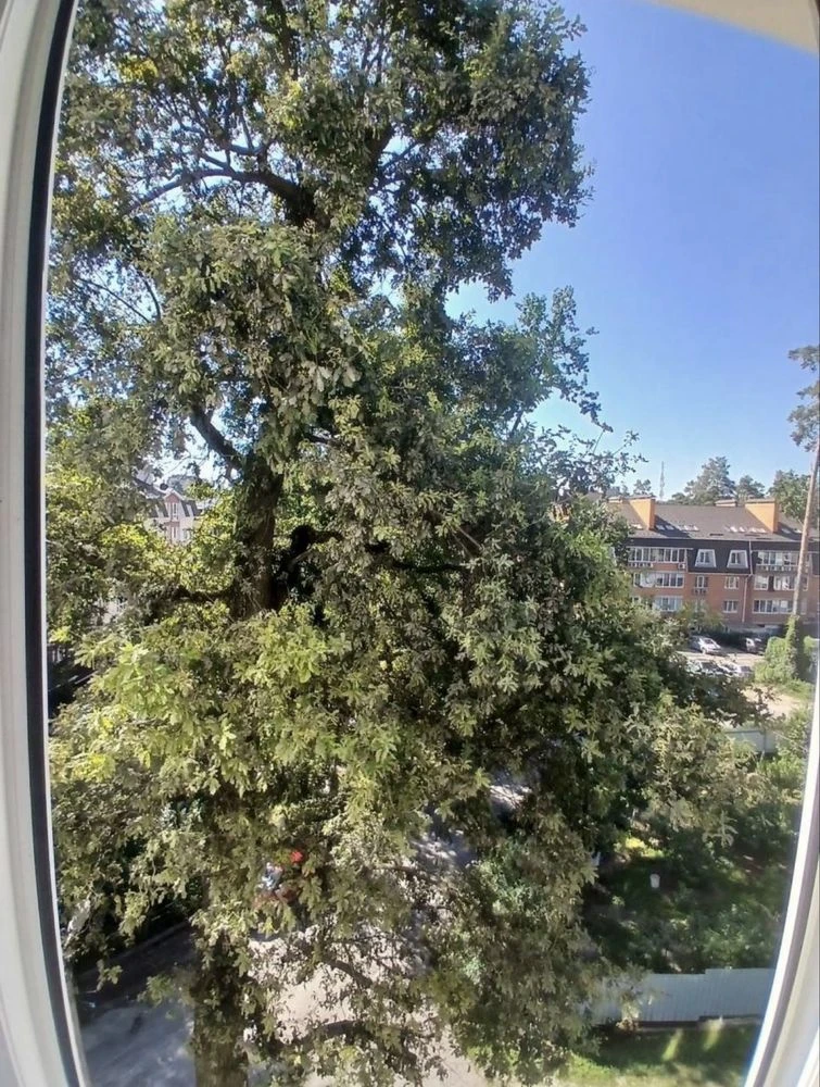 NO COMMISSION! Nice ONE-BEDROOM apartment renovated. Individual seller