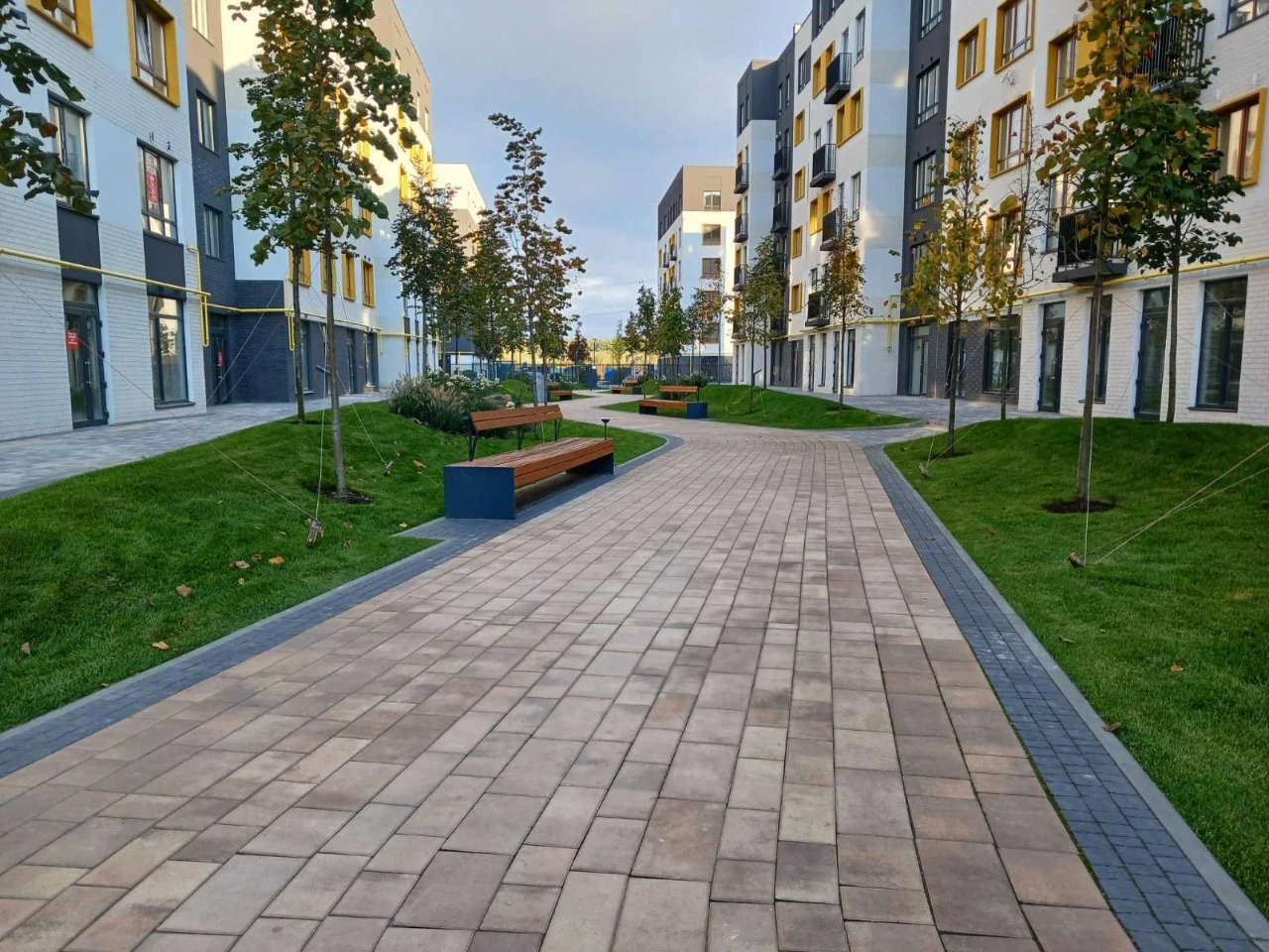 Apartment in the "Molodist" residential complex with 60% renovation