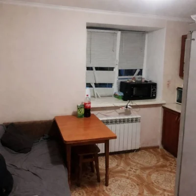 БЕЗ КОМІСІЇ! охайна однокімнатна квартира. ЦЕНТРАЛЬНИЙ парк