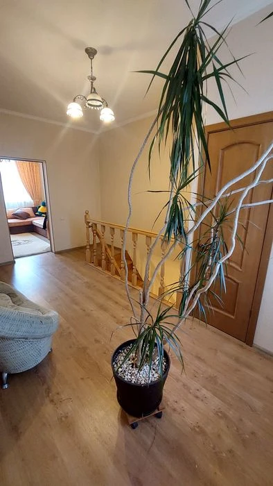 House for sale in Limanka /Prikordonna