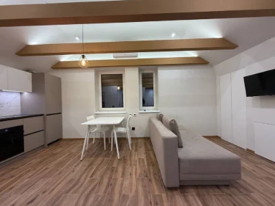 Fully furnished apartment with new renovation in Irpin