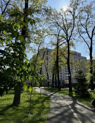One-bedroom apartment 41.3 m2