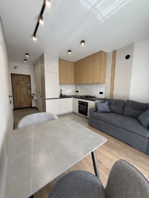 Ready-to-move-in Euro 2-room apartment in "Synergi City" residential complex