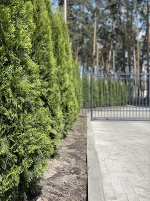 Двокімнатна квартира з терасою ЖК Центральний-2