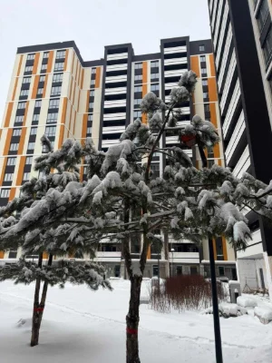 1-bedroom apartment in the Favorit Premium residential complex
