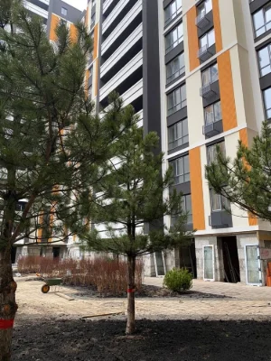 Duplex apartment in the Favoryt Premium residential complex