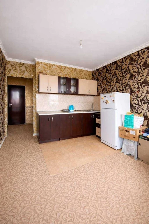 NO COMMISSION! Nice one-bedroom apartment. Departure to Kyiv