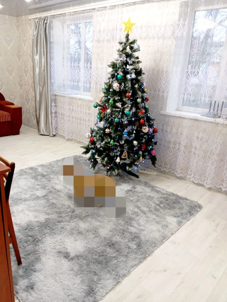 Selling a 3-room apartment in a one-story house