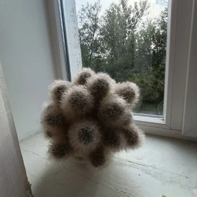 Продаж 3х кімнатної квартири у Світловодську.
