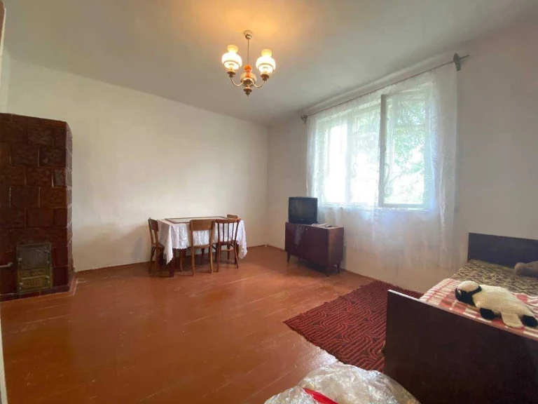 Sale of a 2-bedroom house-type apartment near Stry!