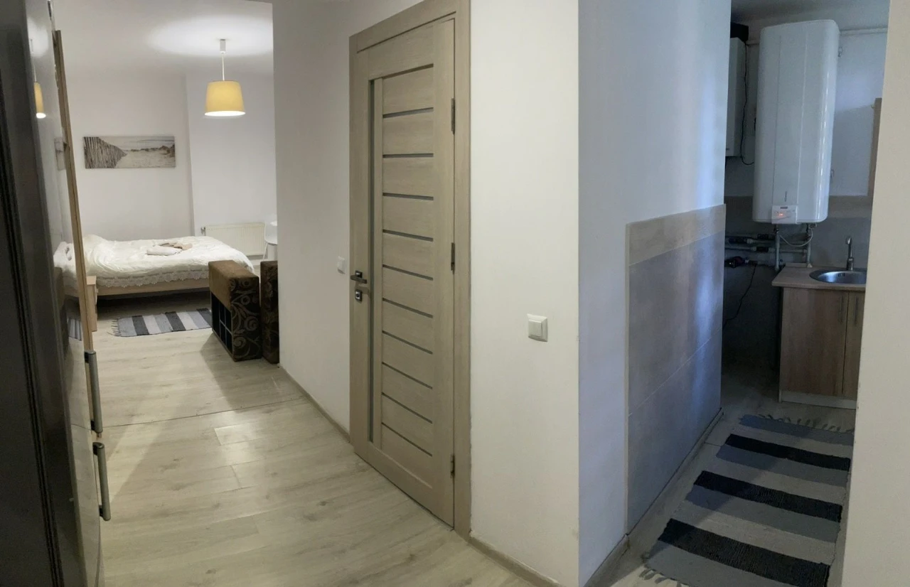 Apartments for sale in the center of Truskavets. Working business!