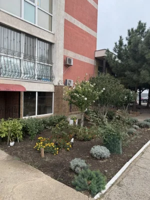 В продажі 2-кімнатна квартира в районі 33 м²