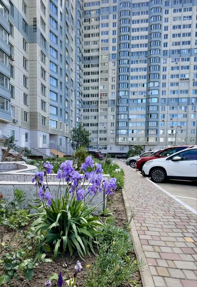 Висота, простір та безмежний горизонт