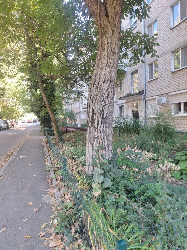 Продаж 2-кімнатна квартира, під ремонт, 1/5, центр, можна під офіс, 37 тисяч доларів